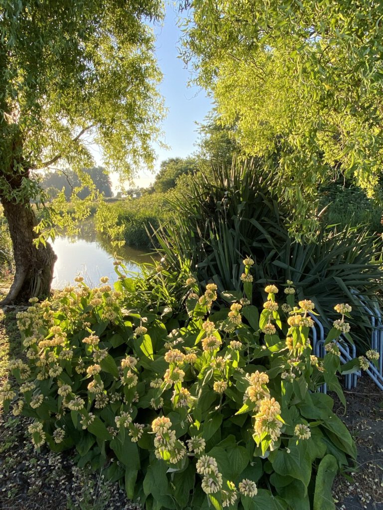 Tuinvereniging Noord-West in Zoetermeer